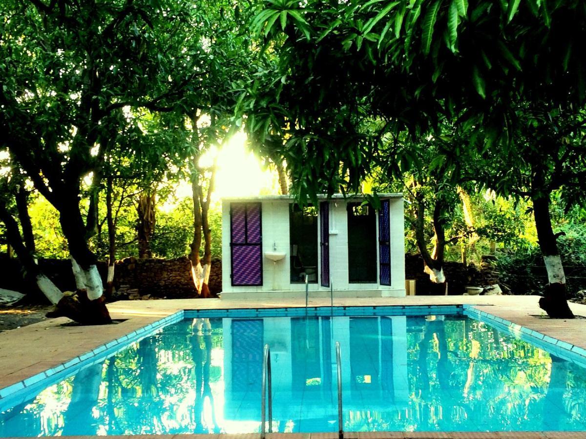 The Wilds Villa Gir Jungle Stay With Swimming Pool Sasan Gir Zewnętrze zdjęcie